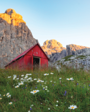 Amazing Mountain Cabins - Hebbertjes - 2HB