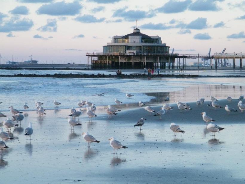 Blankenberge - Kust - 2HB