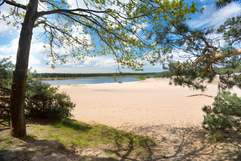 Lommelse Sahara - Limburg - Kust