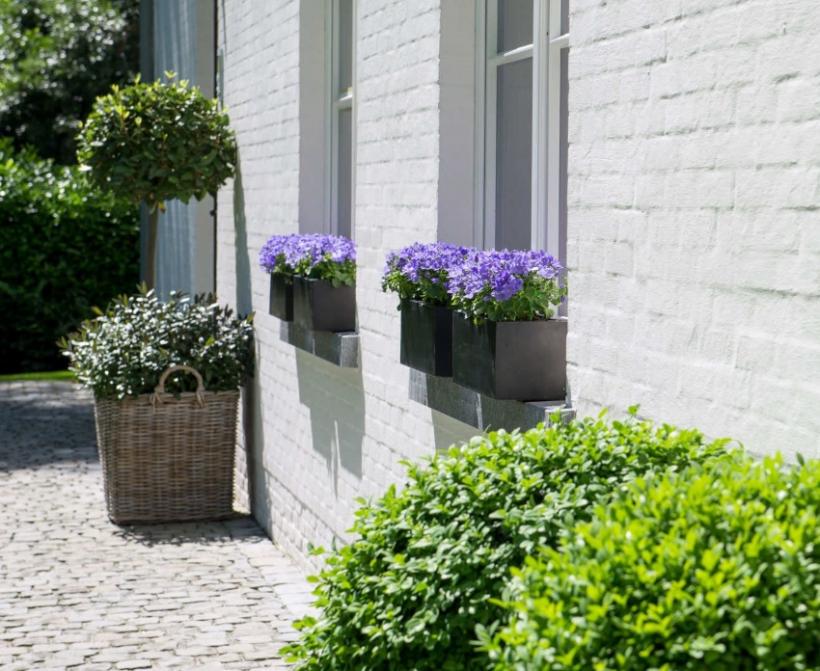 Natuur binnenhalen - Lifestyle - 2HB