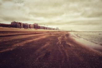 Beperkte prijsstijging ondanks groeiende vraag - Kust - 2HB