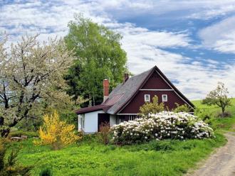 Boom als blikvanger in de tuin van uw tweede verblijf - Lifestyle - 2HB