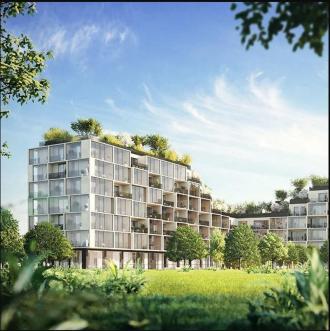Het hoogste bos van Antwerpen - 2de verblijf in een stad - 2HB
