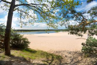 Lommelse Sahara - Limburg - Kust