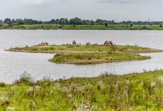 Maasvallei - Limburg - 2HB