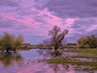 Het verzekeren van een tweede verblijf in overstromingsgebied - Financieel - 2HB