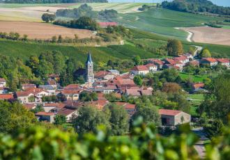 Stabiele prijzen ondanks minder verkopen - Ardennen - 2HB