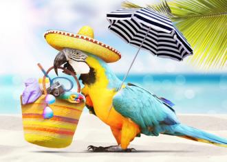 Vakantiebeurs Roeselare - Pop-up partner - 2HB