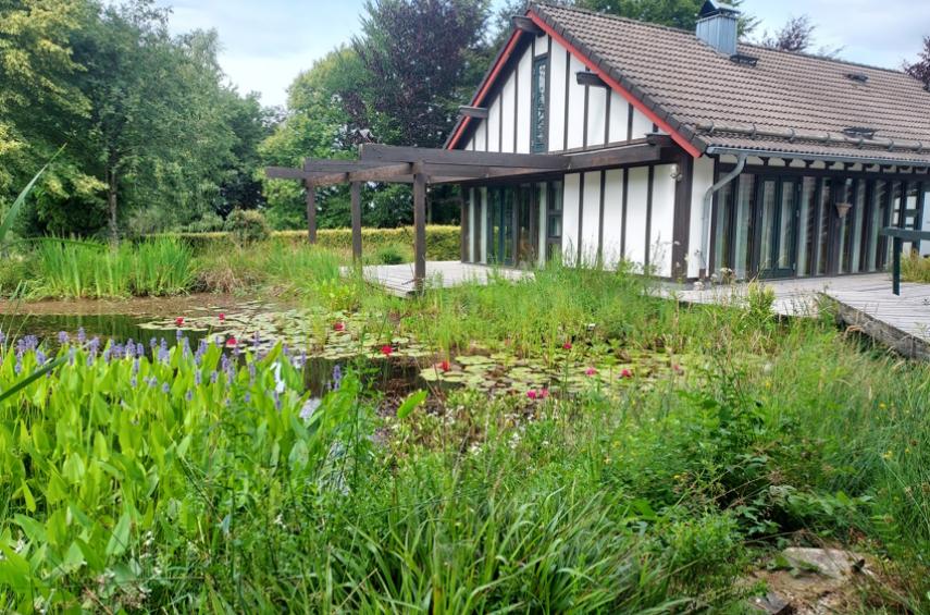 Uniek woon- en vakantiedomein met drie woningen in de Oostkantons - Ardennen - 2HB