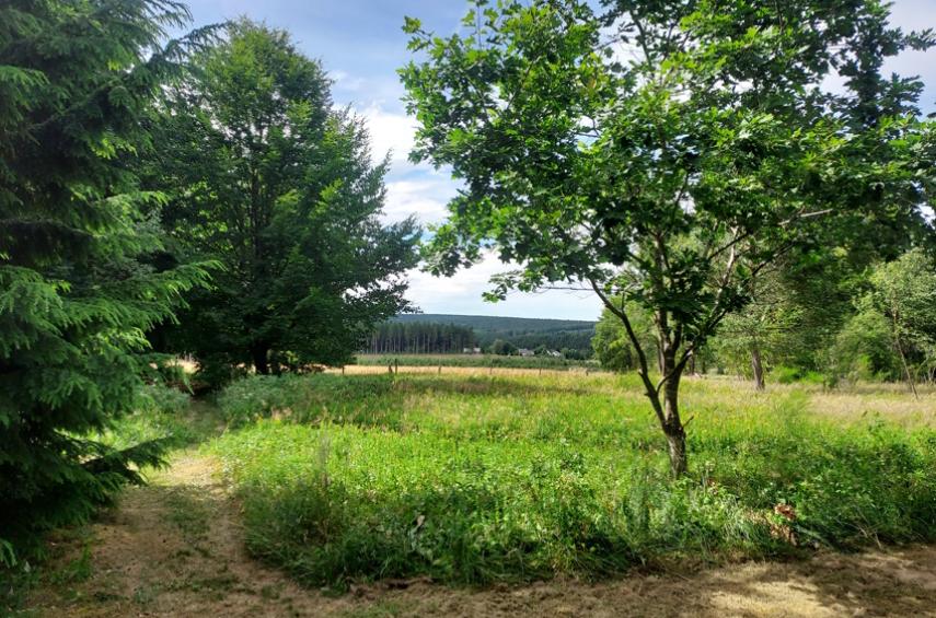 Uniek woon- en vakantiedomein met drie woningen in de Oostkantons - Ardennen - 2HB