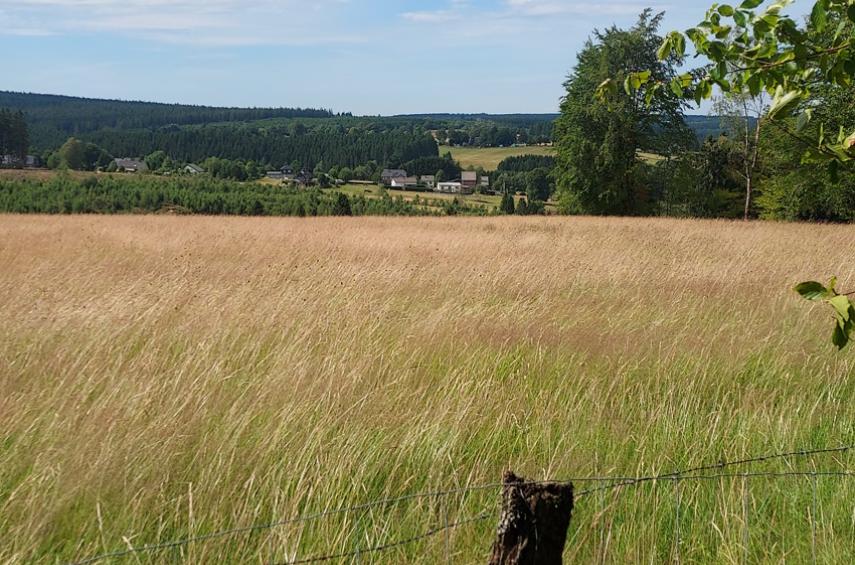 Uniek woon- en vakantiedomein met drie woningen in de Oostkantons - Ardennen - 2HB