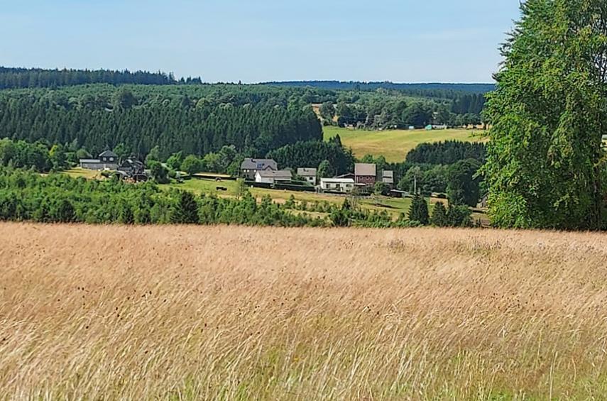 Uniek woon- en vakantiedomein met drie woningen in de Oostkantons - Ardennen - 2HB