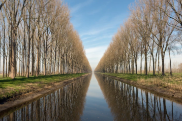 Trinity Garden - West-Vlaanderen - 2HB
