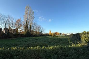 Trinity Garden - West-Vlaanderen - 2HB