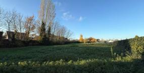 Trinity Garden - West-Vlaanderen - 2HB