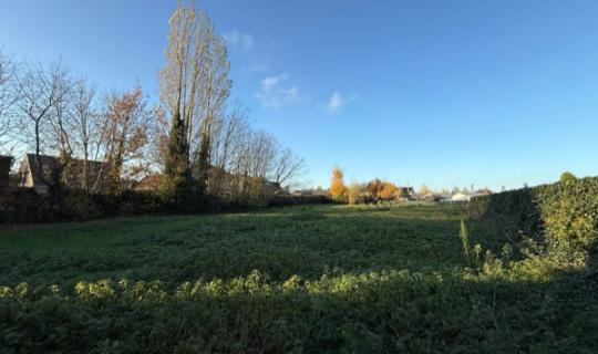 Trinity Garden - West-Vlaanderen - 2HB